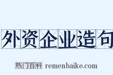 外资企业造句是什么意思的图片
